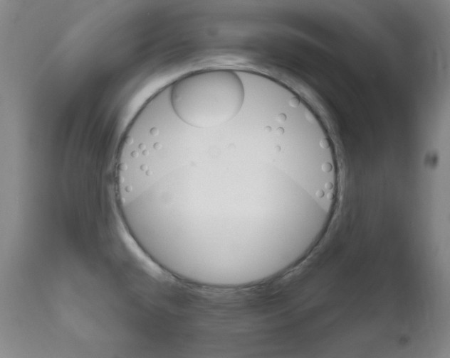 X0000111801432200909031218