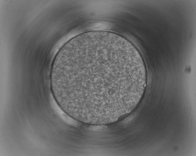 X0000111801434200909031218