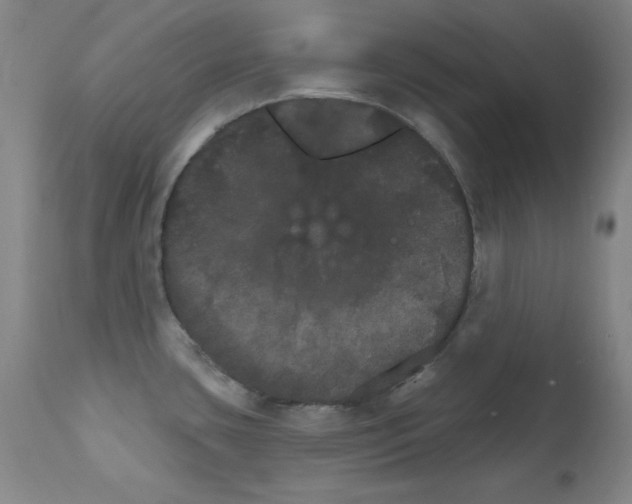 X0000111801435200909031218