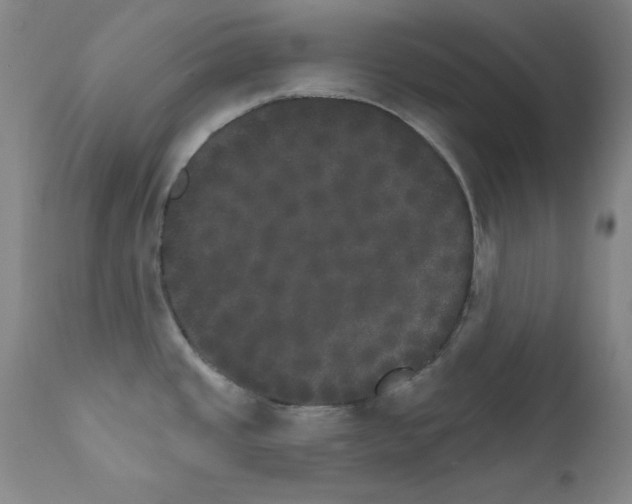 X0000111801437200909031218