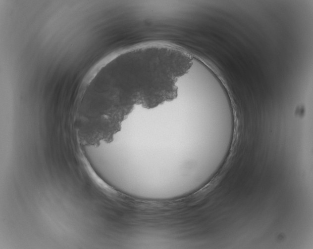X0000111801438200909031218