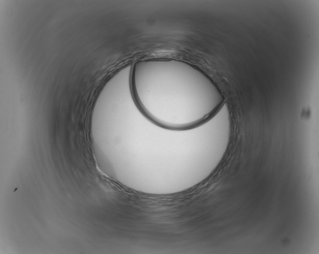 X0000111801441200909031218