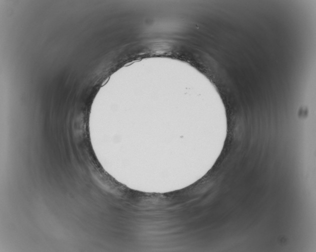 X0000111801442200909031217