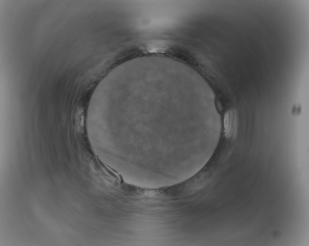 X0000111801443200909031217