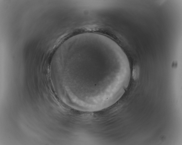 X0000111801444200909031217