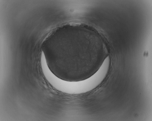 X0000111801445200909031217