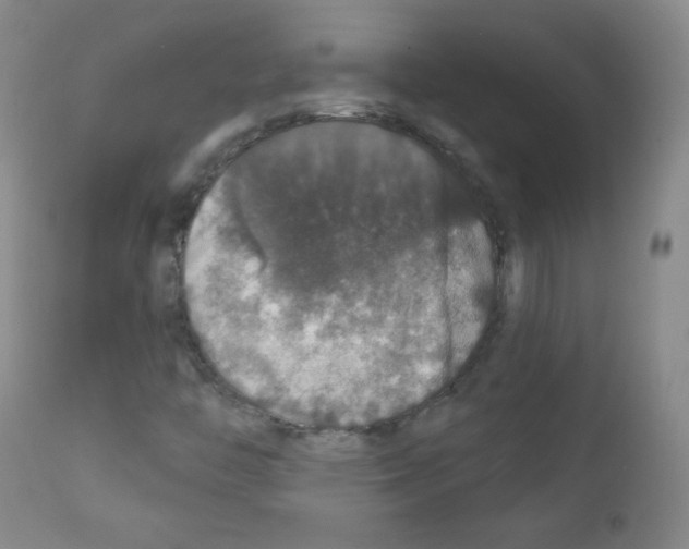 X0000111801446200909031217