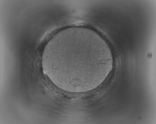 X0000111801447200909031217