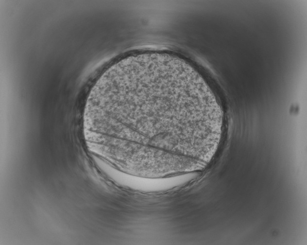 X0000111801448200909031217