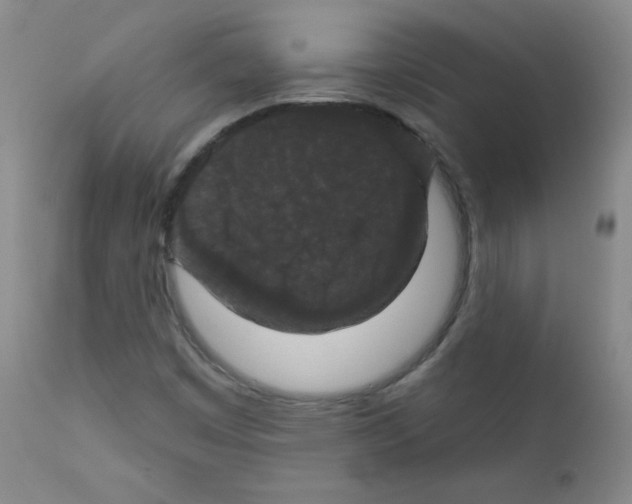 X0000111801449200909031217