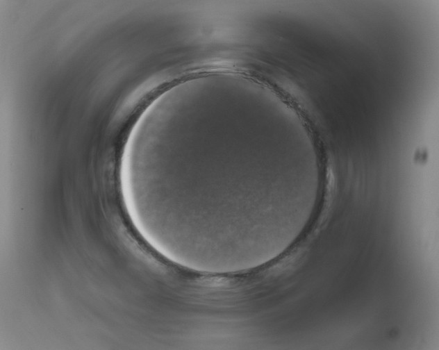 X0000111801450200909031217