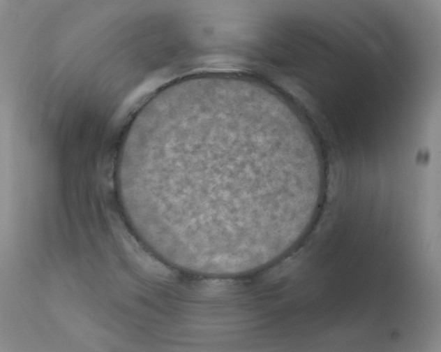 X0000111801451200909031217