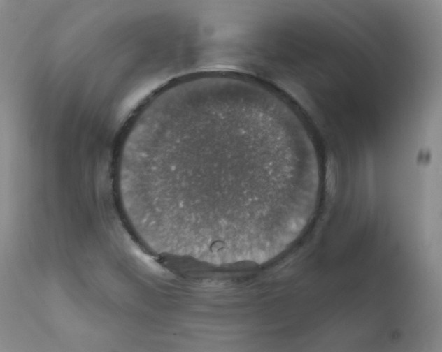 X0000111801452200909031217