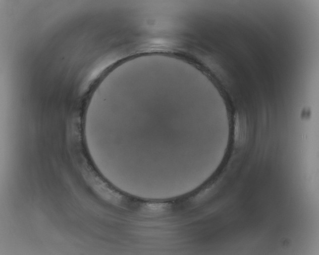 X0000111801453200909031217