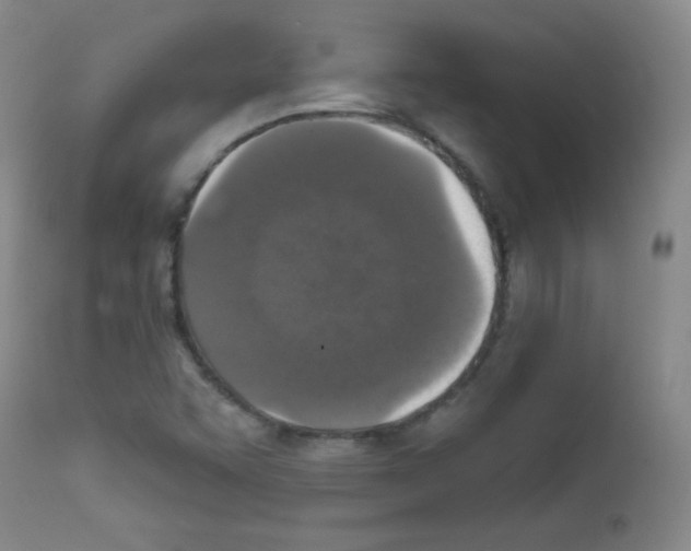 X0000111801455200909031217