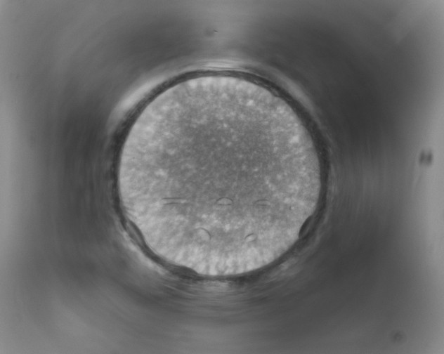 X0000111801456200909031217