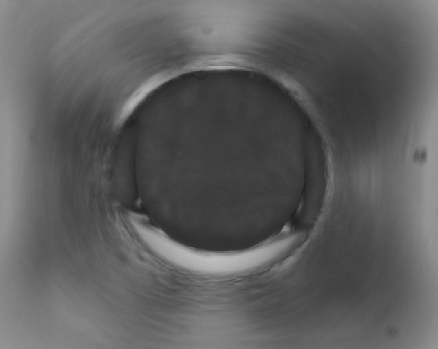 X0000111801457200909031217