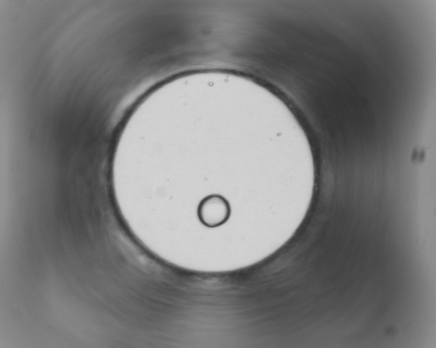 X0000111801460200909031217