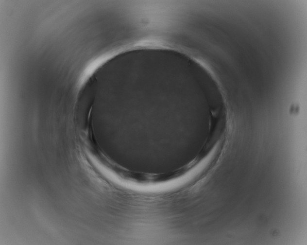 X0000111801461200909031217