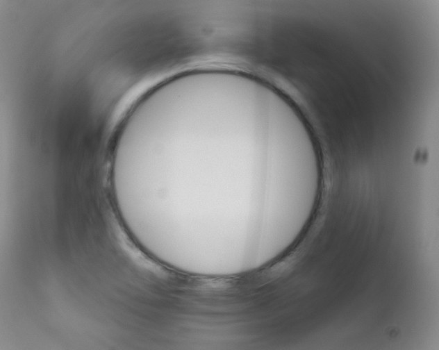 X0000111801462200909031217