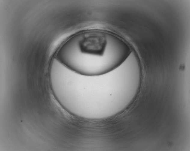X0000111801464200909031217