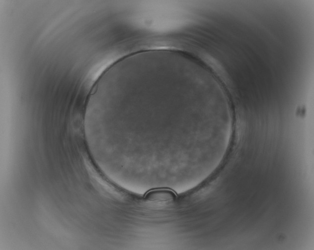 X0000111801465200909031217