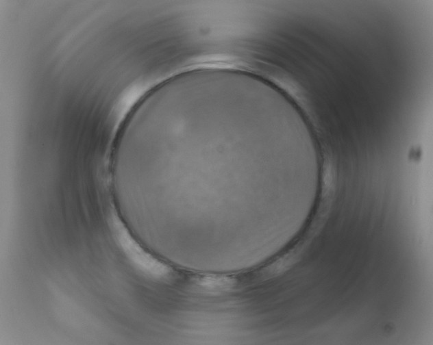 X0000111801466200909031217