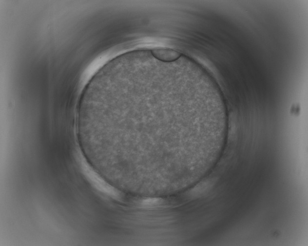 X0000111801467200909031217