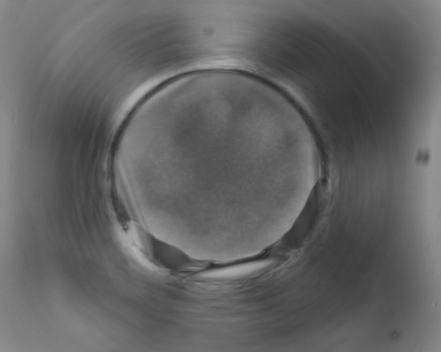 X0000111801468200909031217
