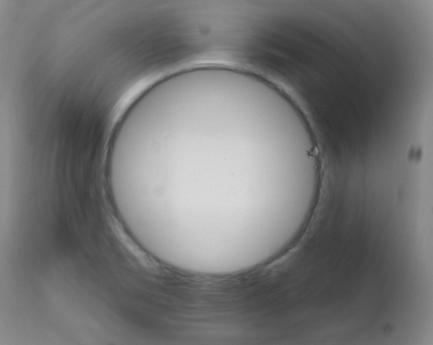 X0000111801469200909031217