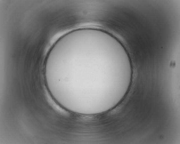 X0000111801470200909031217