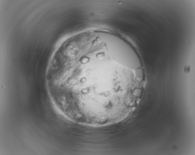 X0000111801471200909031217