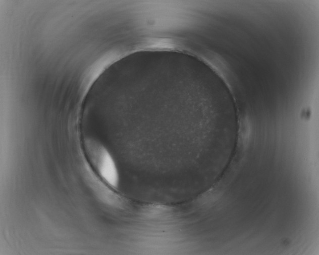 X0000111801475200909031217