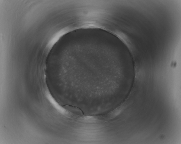X0000111801476200909031217
