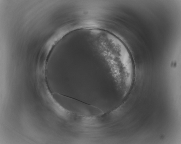 X0000111801477200909031217