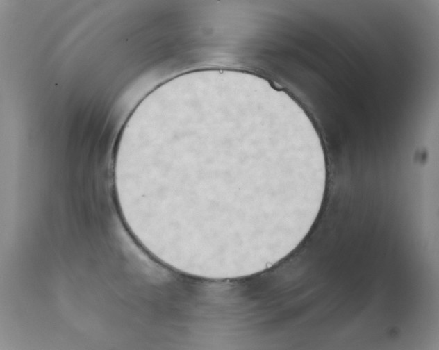 X0000111801479200909031217
