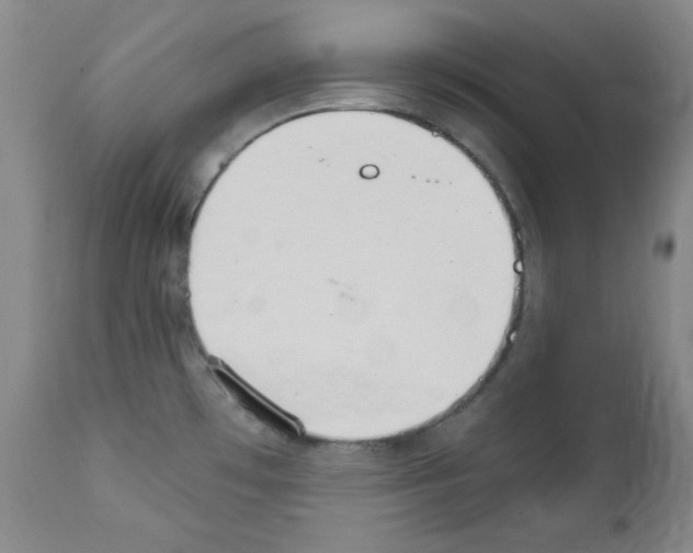 X0000111801481200909031217
