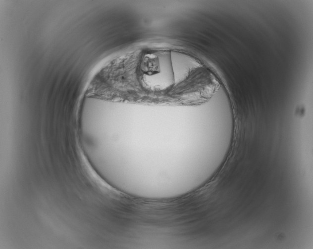X0000111801483200909031217