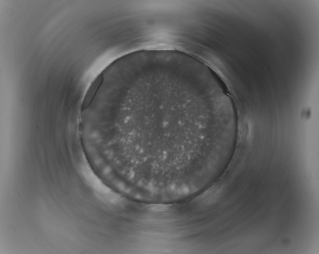 X0000111801484200909031217