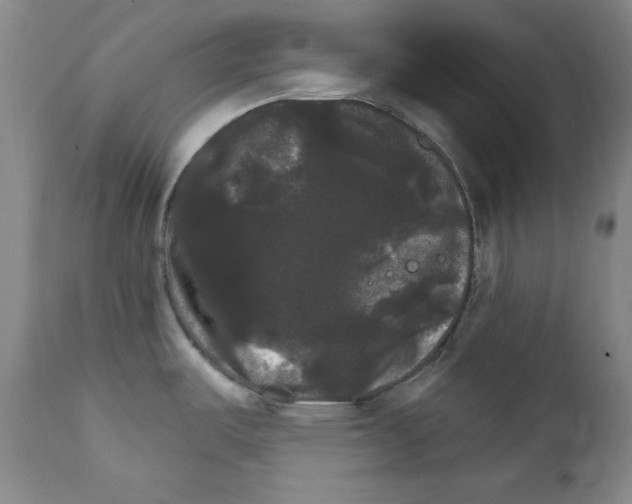 X0000111801487200909031217