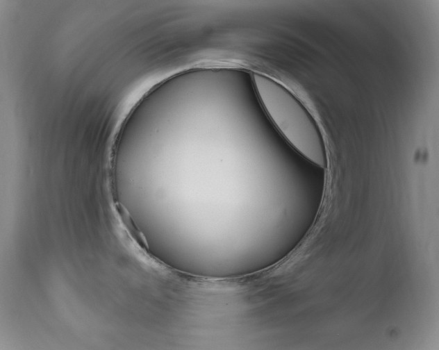 X0000111801488200909031217