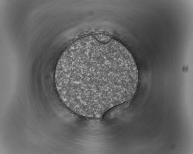 X0000111801489200909031216