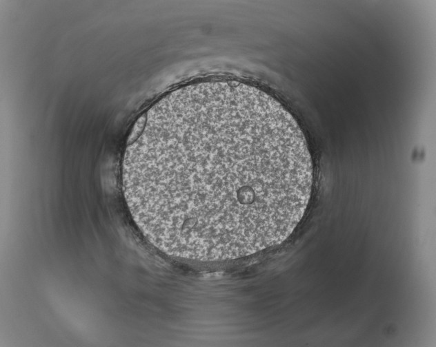 X0000111801490200909031216