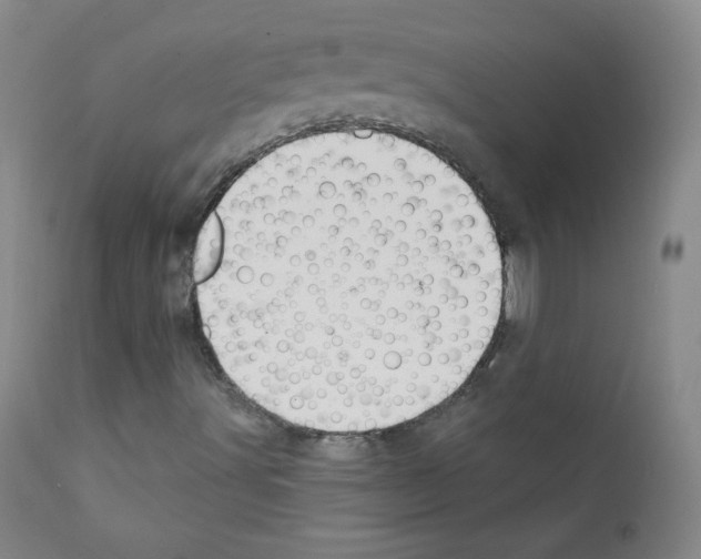 X0000111801491200909031216
