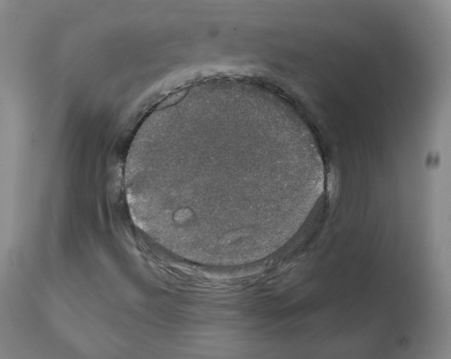 X0000111801492200909031216