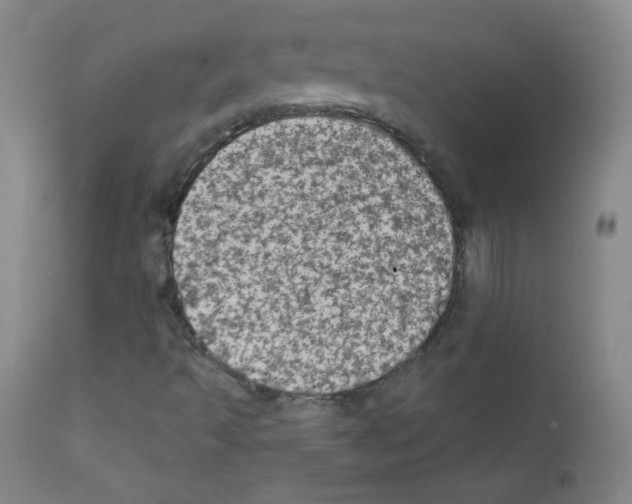 X0000111801493200909031216
