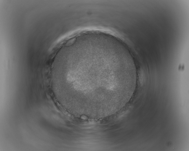 X0000111801494200909031216