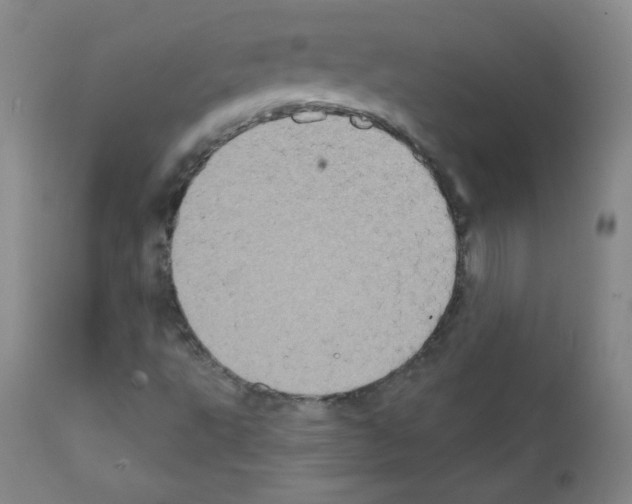 X0000111801495200909031216