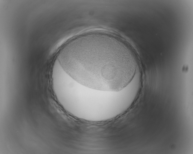 X0000111801496200909031216