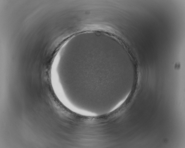 X0000111801497200909031216